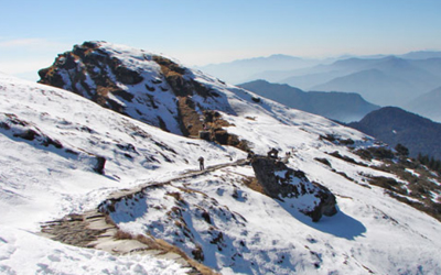 Chopta Tour